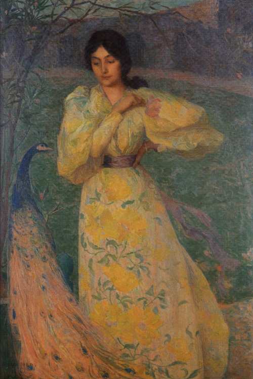 �A�}�����W�����@��@�N�W���N�ƎႢ���� ��@1895���@